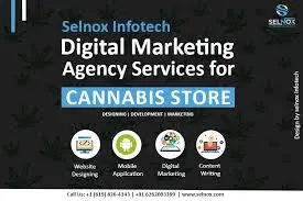 Selnox Infotech Pvt. Ltd.